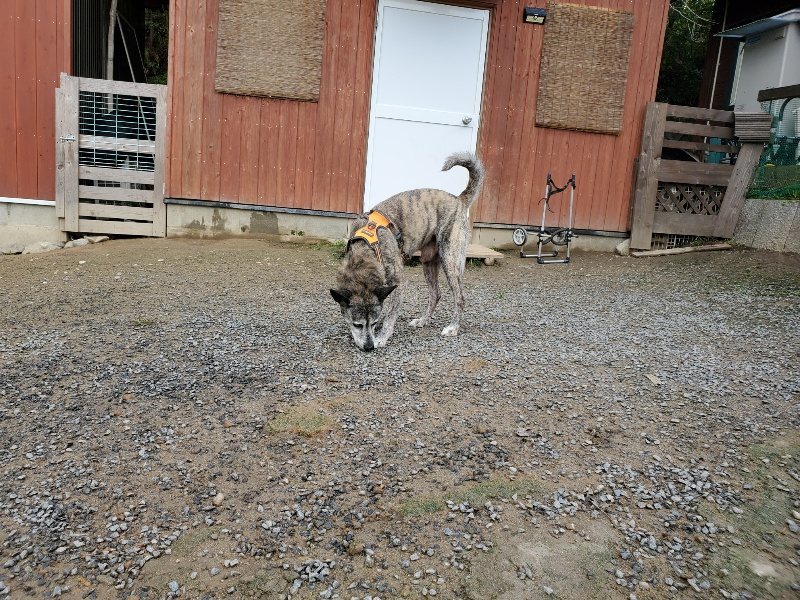 f:id:roukenhome-ann:20191022103752j:plain