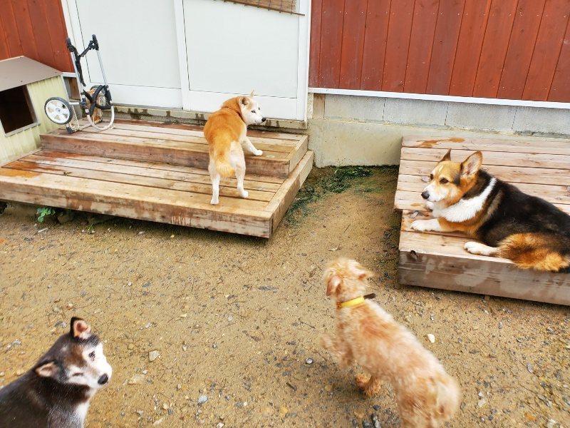 f:id:roukenhome-ann:20191022103802j:plain