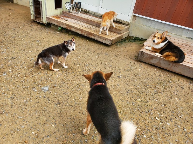 f:id:roukenhome-ann:20191022103816j:plain
