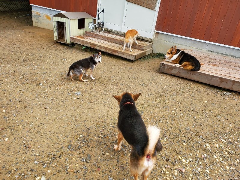 f:id:roukenhome-ann:20191022103823j:plain