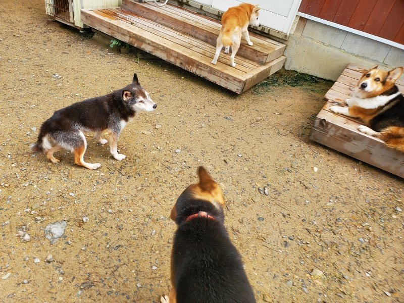 f:id:roukenhome-ann:20191022103832j:plain