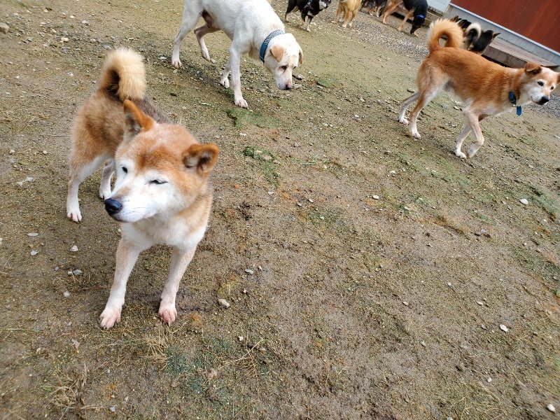 f:id:roukenhome-ann:20191022103938j:plain