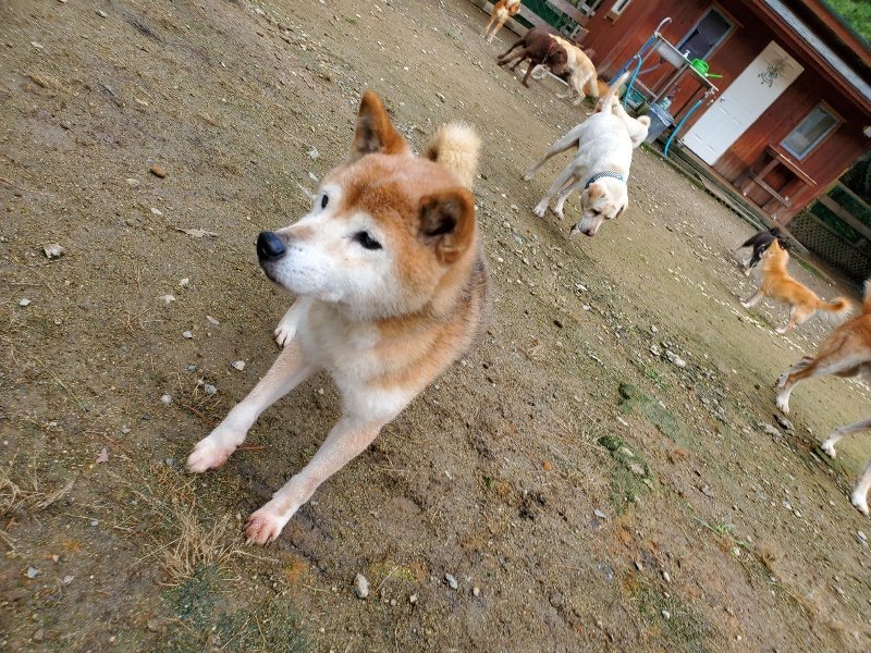f:id:roukenhome-ann:20191022103948j:plain