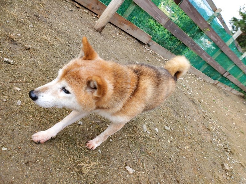 f:id:roukenhome-ann:20191022104014j:plain