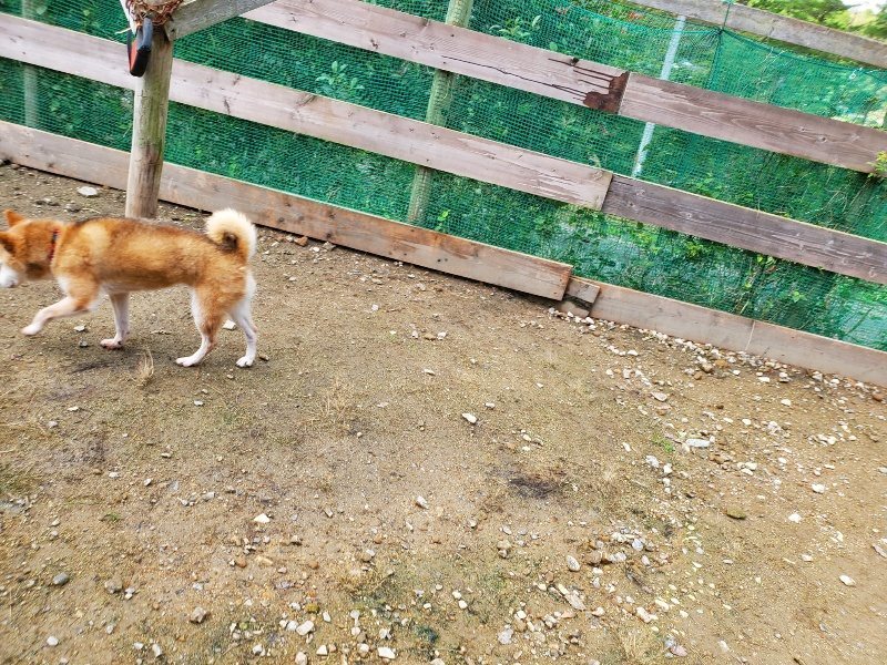 f:id:roukenhome-ann:20191022104030j:plain