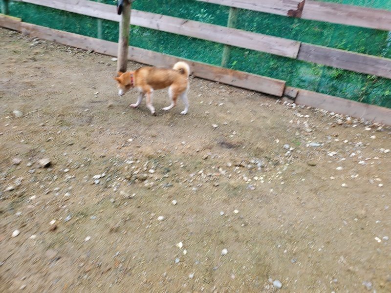 f:id:roukenhome-ann:20191022104056j:plain