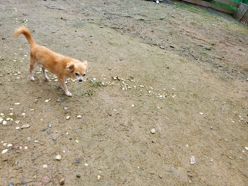 f:id:roukenhome-ann:20191022104106j:plain