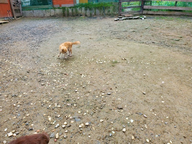 f:id:roukenhome-ann:20191022104124j:plain