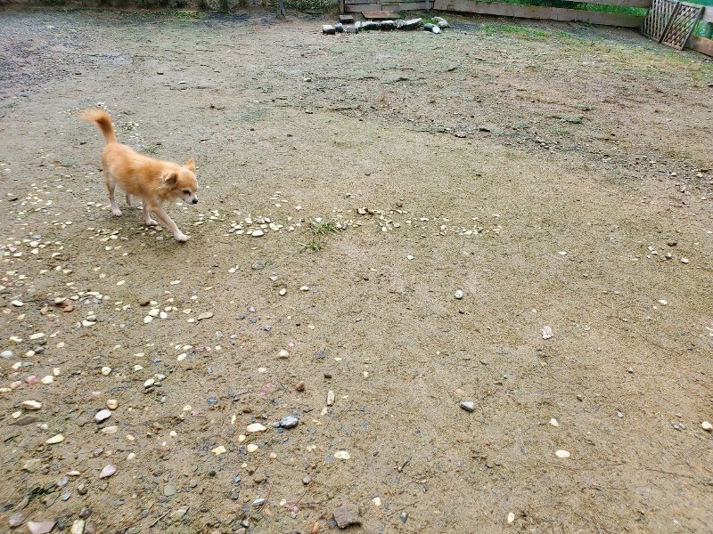f:id:roukenhome-ann:20191022104132j:plain