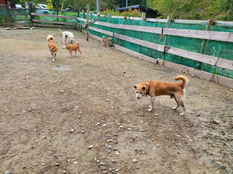 f:id:roukenhome-ann:20191022104726j:plain