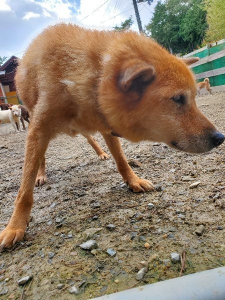 f:id:roukenhome-ann:20191022104845j:plain