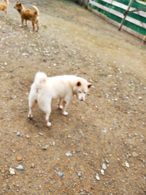f:id:roukenhome-ann:20191022104942j:plain