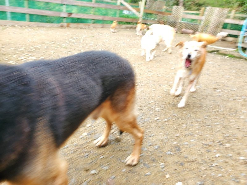 f:id:roukenhome-ann:20191022105038j:plain