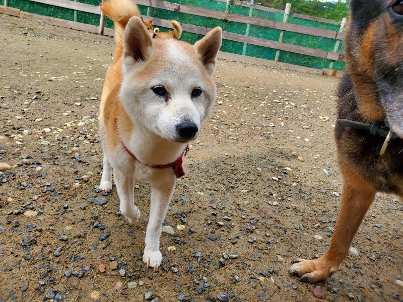 f:id:roukenhome-ann:20191022105055j:plain
