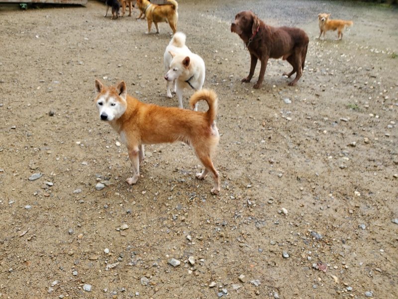 f:id:roukenhome-ann:20191022105146j:plain