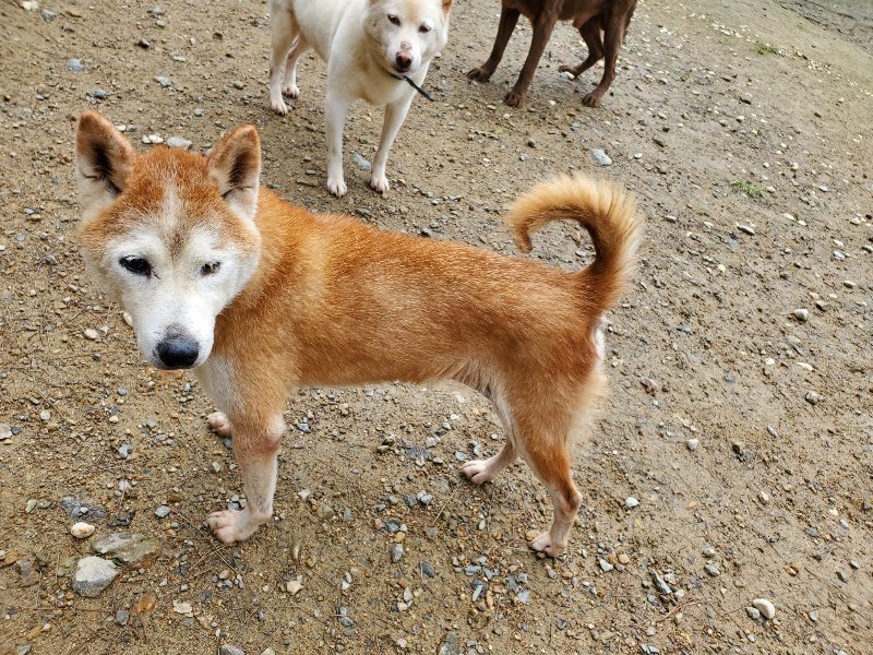 f:id:roukenhome-ann:20191022105157j:plain