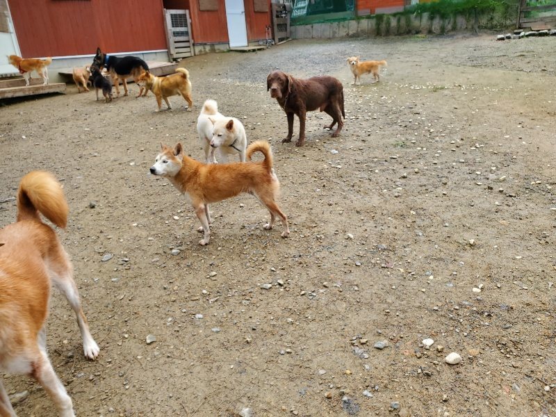 f:id:roukenhome-ann:20191022105203j:plain