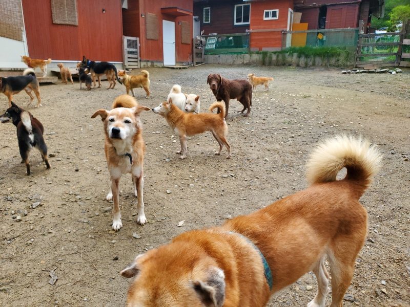 f:id:roukenhome-ann:20191022105214j:plain