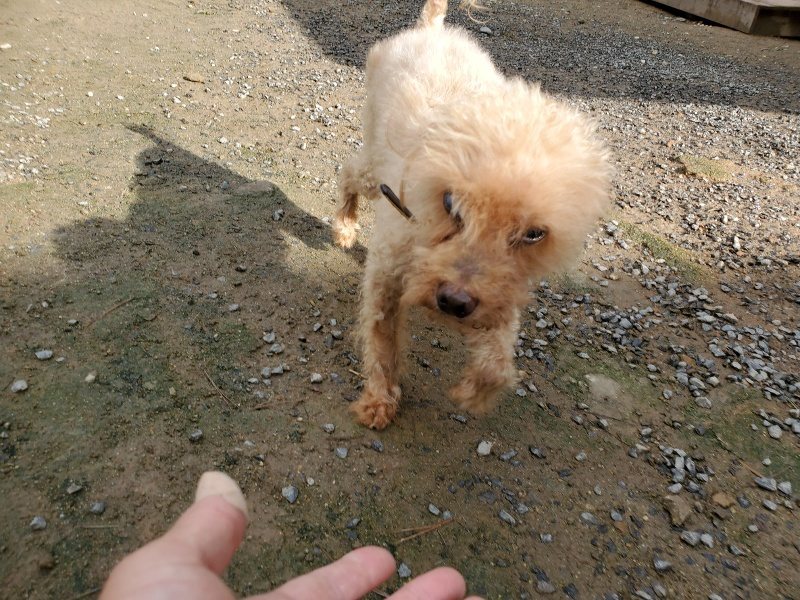 f:id:roukenhome-ann:20191022112049j:plain