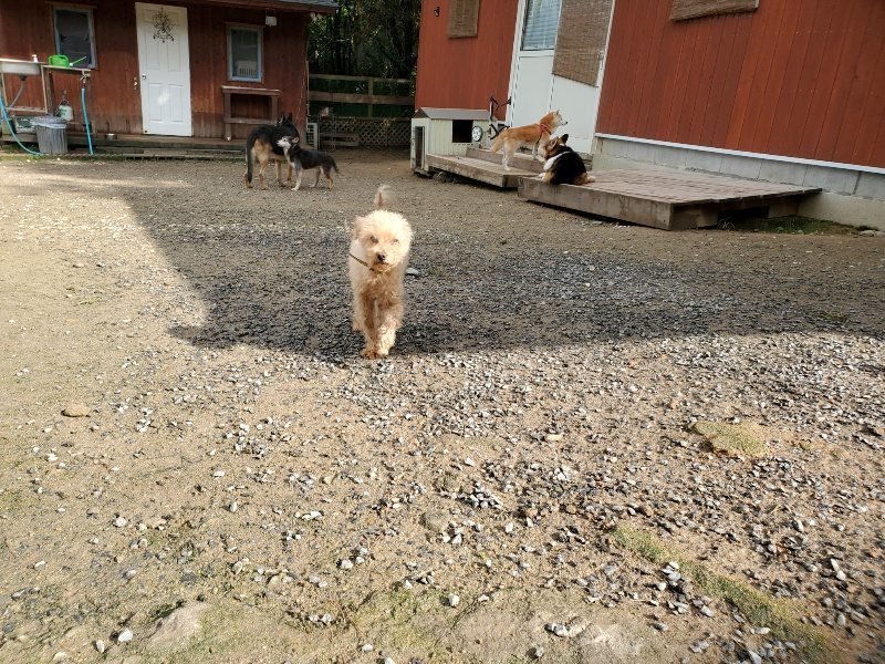 f:id:roukenhome-ann:20191022112123j:plain