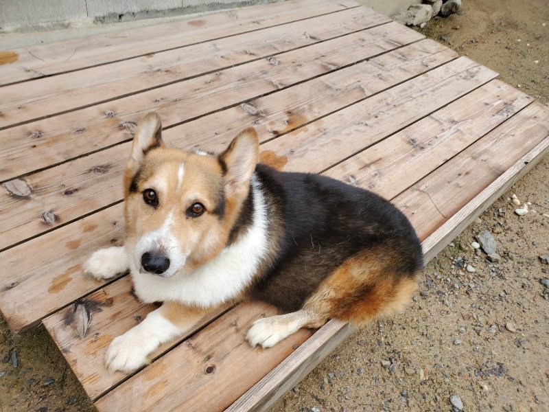 f:id:roukenhome-ann:20191022112205j:plain