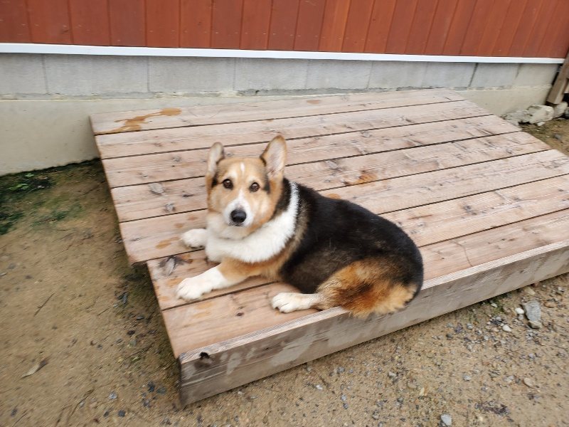 f:id:roukenhome-ann:20191022112239j:plain