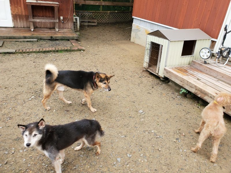 f:id:roukenhome-ann:20191022112255j:plain