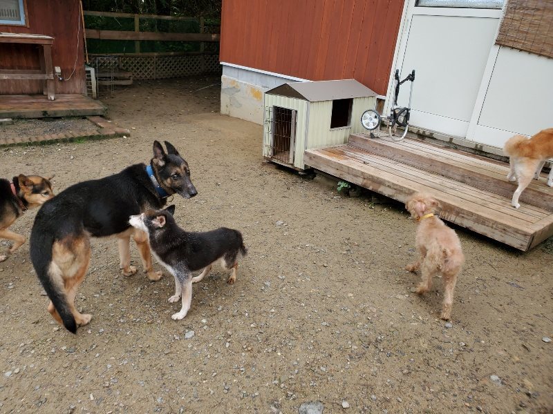 f:id:roukenhome-ann:20191022112315j:plain