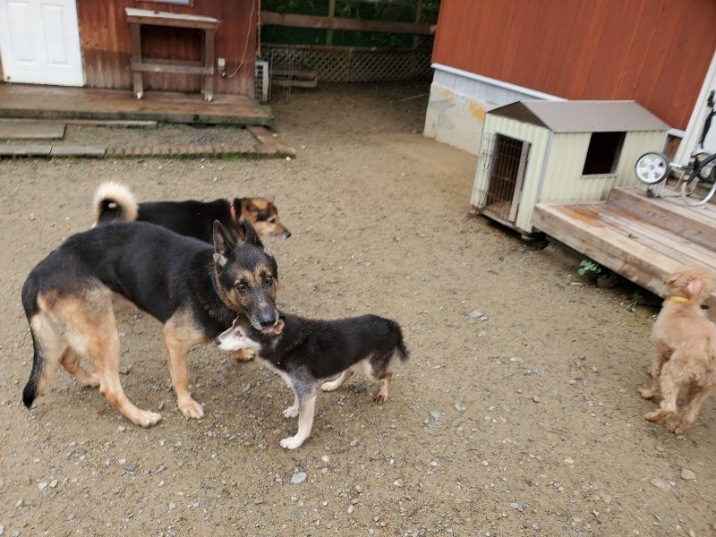 f:id:roukenhome-ann:20191022112344j:plain