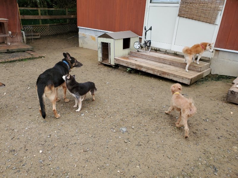f:id:roukenhome-ann:20191022112402j:plain