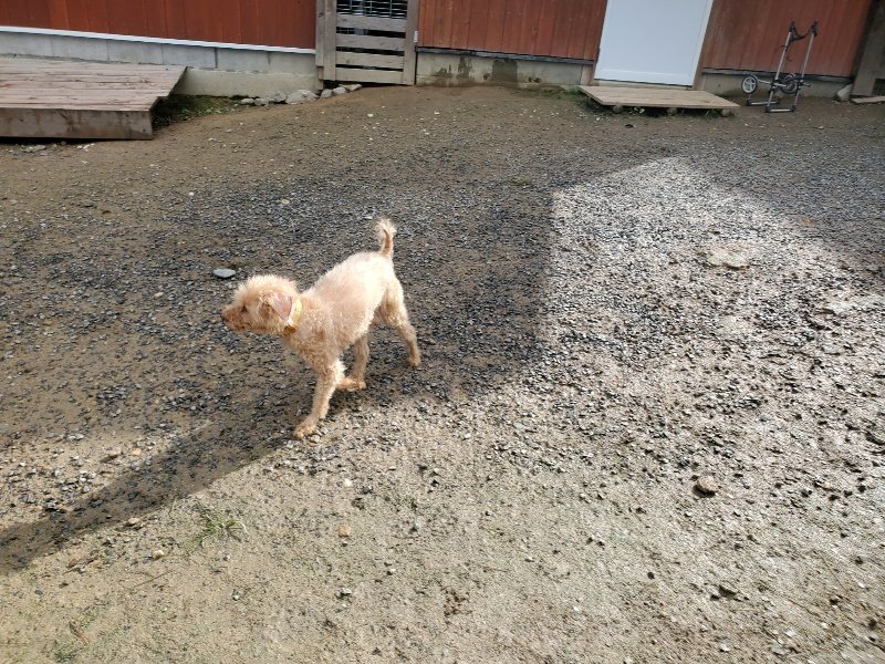 f:id:roukenhome-ann:20191022112419j:plain