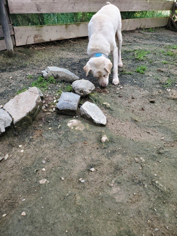 f:id:roukenhome-ann:20191022112451j:plain