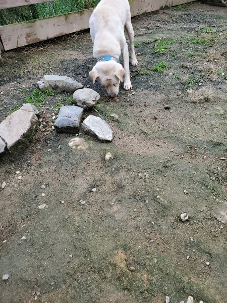 f:id:roukenhome-ann:20191022112501j:plain
