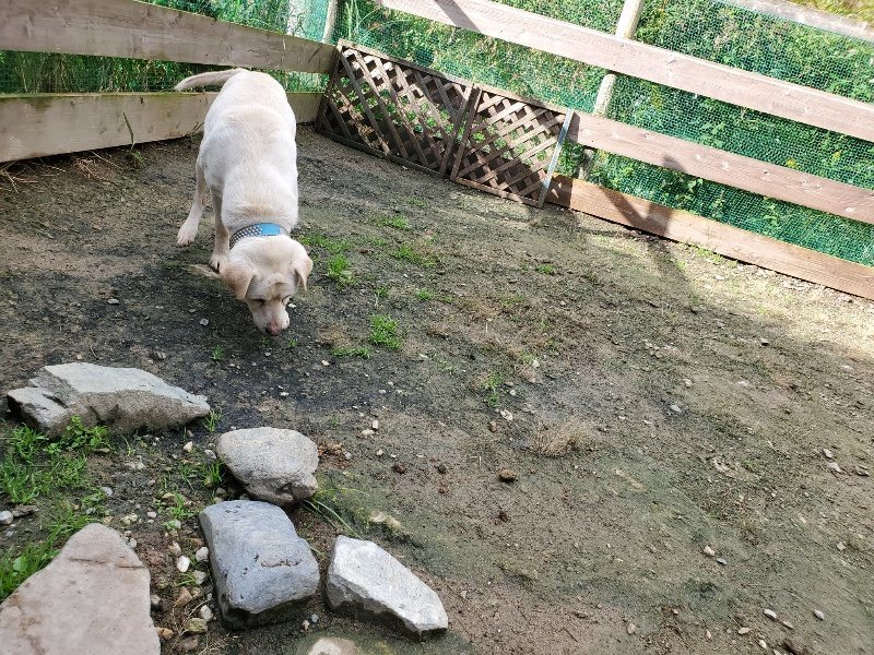 f:id:roukenhome-ann:20191022112541j:plain