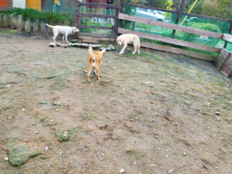 f:id:roukenhome-ann:20191022113506j:plain