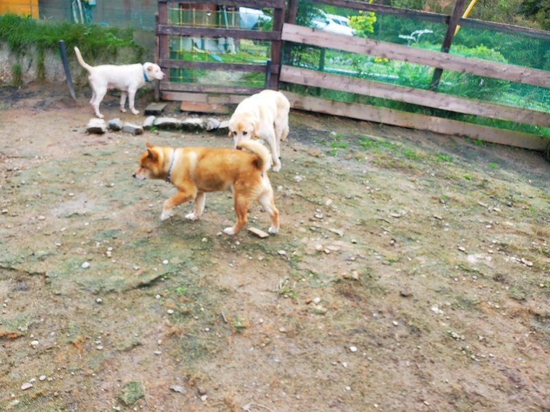 f:id:roukenhome-ann:20191022113528j:plain