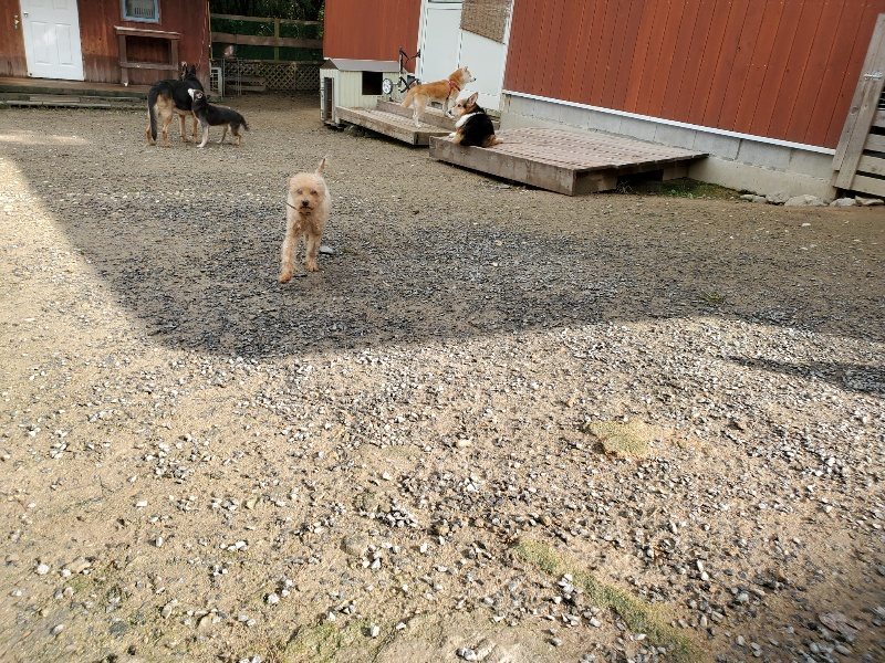 f:id:roukenhome-ann:20191022113638j:plain