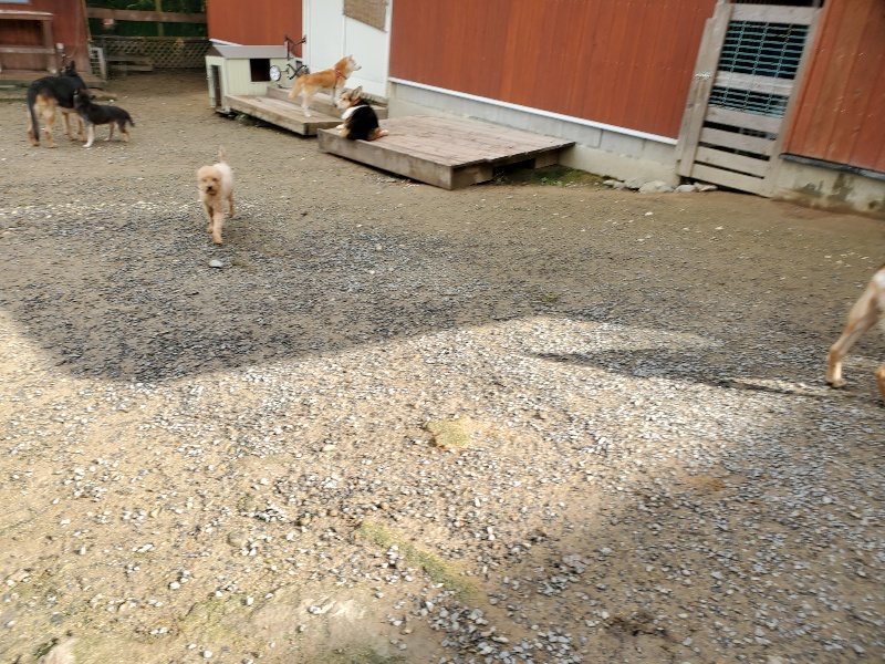 f:id:roukenhome-ann:20191022113723j:plain