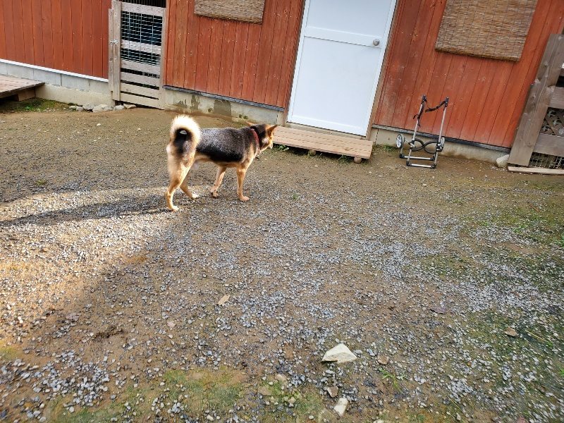 f:id:roukenhome-ann:20191022113739j:plain