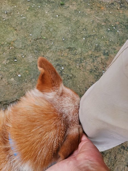 f:id:roukenhome-ann:20191022113817j:plain