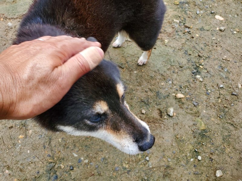 f:id:roukenhome-ann:20191022113858j:plain