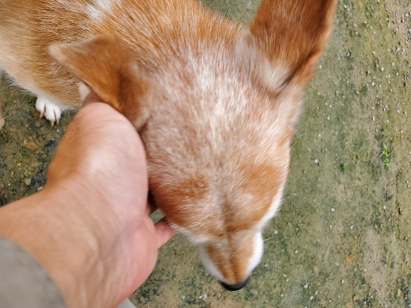 f:id:roukenhome-ann:20191022113917j:plain