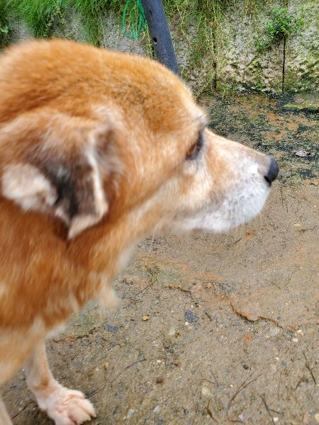 f:id:roukenhome-ann:20191022114250j:plain