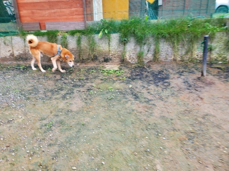 f:id:roukenhome-ann:20191022114649j:plain