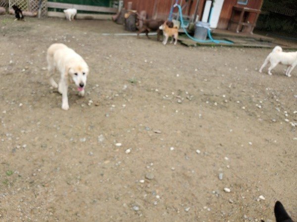 f:id:roukenhome-ann:20191022115614j:plain