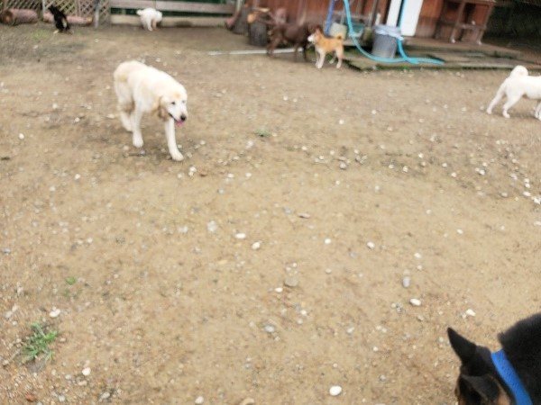 f:id:roukenhome-ann:20191022115651j:plain
