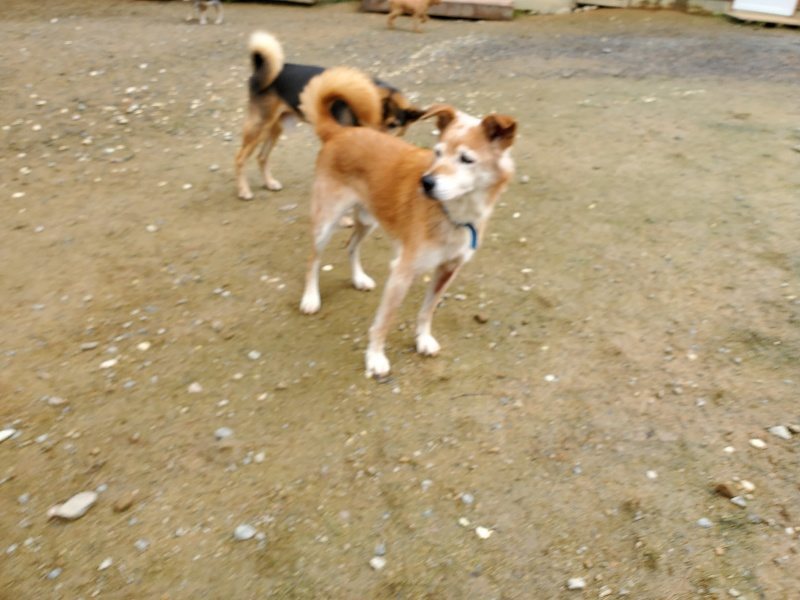 f:id:roukenhome-ann:20191022115726j:plain