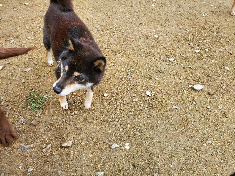 f:id:roukenhome-ann:20191022115806j:plain