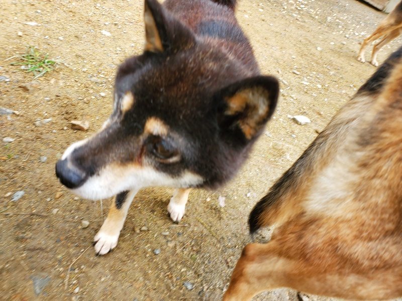 f:id:roukenhome-ann:20191022115823j:plain