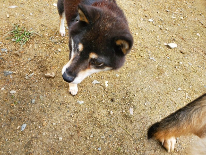 f:id:roukenhome-ann:20191022115847j:plain